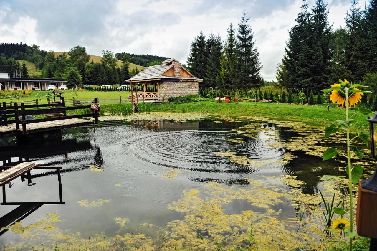 Swiety Spokoj Bieszczady 782-047-324 Villa Ustrzyki Dolne Dış mekan fotoğraf